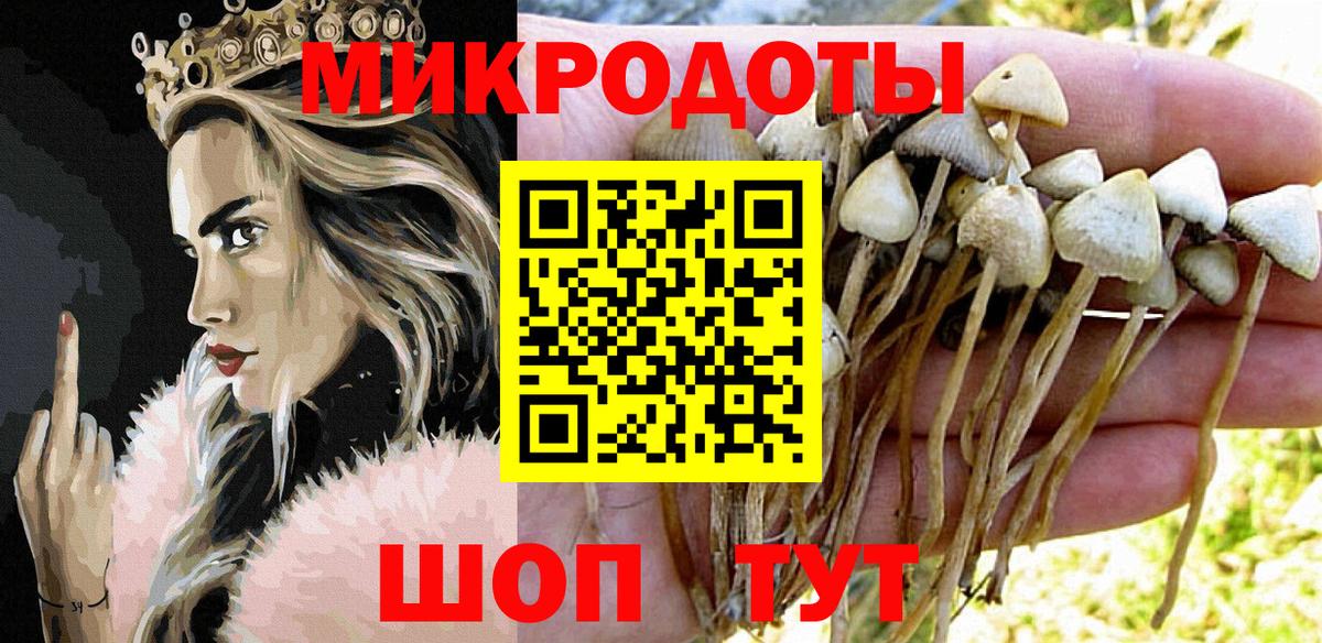 Ноябрьск  Псилоцибиновые грибы ЛСД  Вход с VPN  Псилоцибиновые грибы ЛСД 