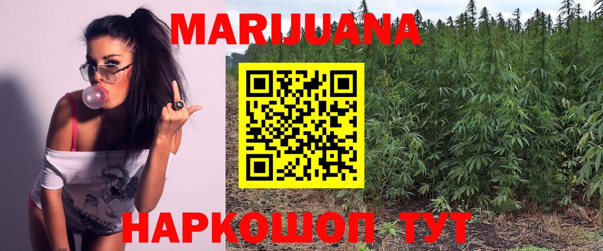 Бошки Шишки гибрид Ноябрьск